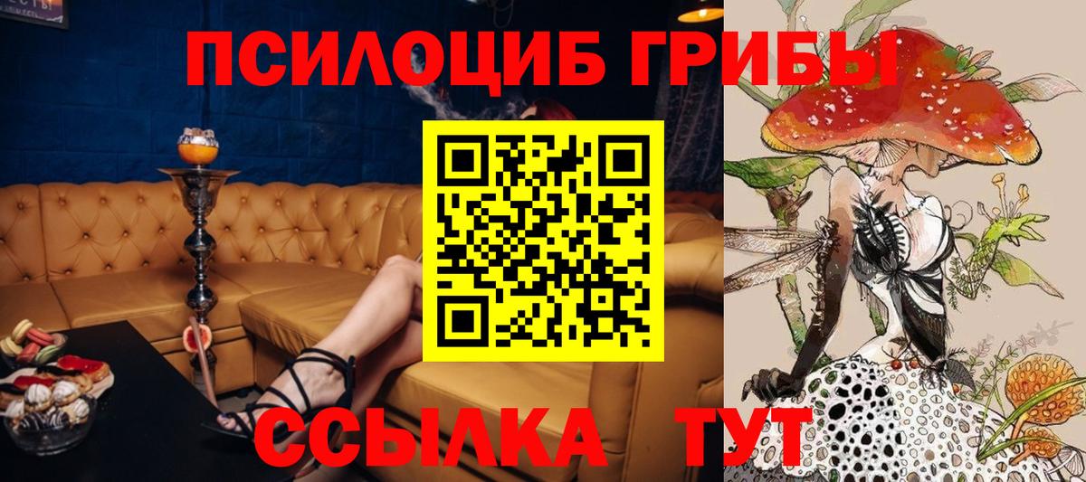 Галлюциногенные грибы GOLDEN TEACHER  Вход с VPN  Верхняя Пышма  Галлюциногенные грибы Psilocybine cubensis 
